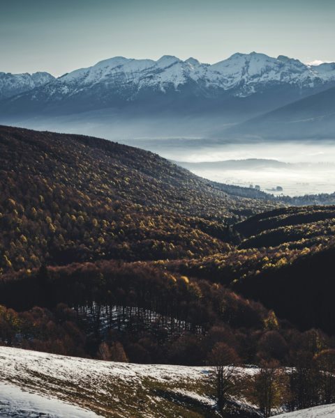 投資新聞閱讀紀錄